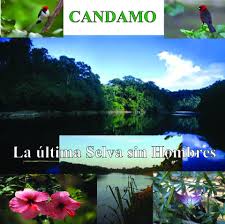 VerDocumental Candamo: La última selva sin hombres (HD) (Español) [flash] online (descargar) gratis.