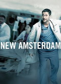 VerNew Amsterdam - 1x06 al 1x10 (HDTV) [torrent] online (descargar) gratis.