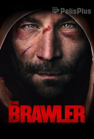 VerThe Brawler (2018) (480p) (Español) [flash] online (descargar) gratis.