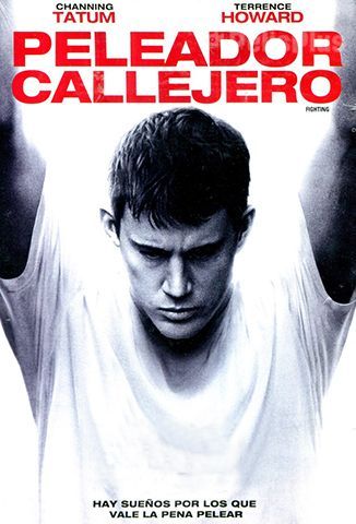 VerPeleador Callejero (2009) (720p) (Español) [flash] online (descargar) gratis.