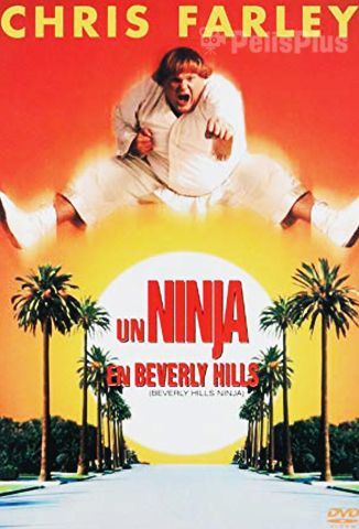 VerUn Ninja En Beverly Hills (1997) (1080p) (subtitulado) [flash] online (descargar) gratis.