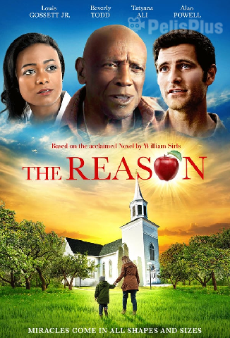 VerThe Reason (2020) (1080p) (latino) [flash] online (descargar) gratis.