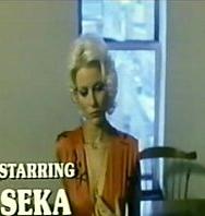 VerInside Seka1981Full FilmSeka, Ron Jeremy (1981) (360p) (Español) [flash] online (descargar) gratis.